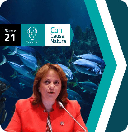 Panel de alto nivel para una economía oceánica sostenible con Martha Delgado